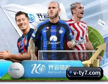 V体育 APP
